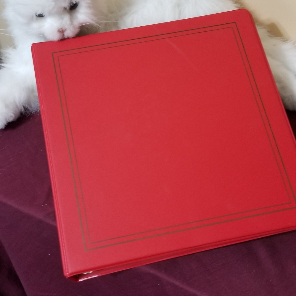 Red vinyl 3 ring photo lps.